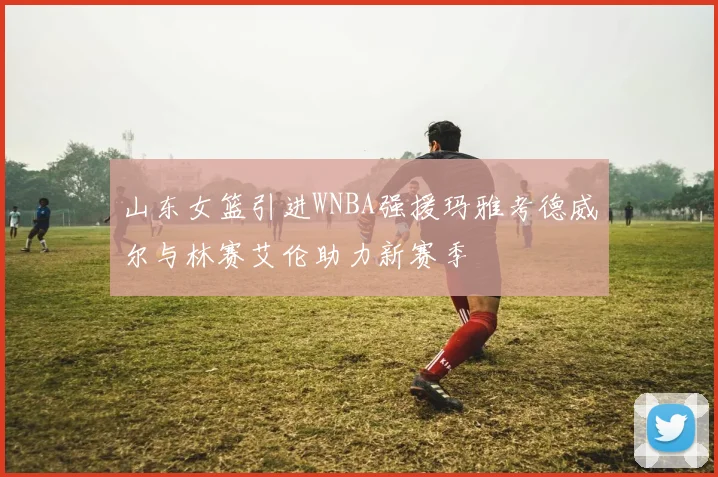 山东女篮引进WNBA强援玛雅考德威尔与林赛艾伦助力新赛季