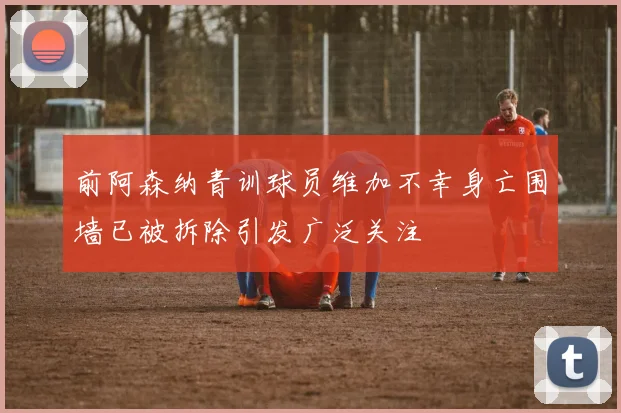 前阿森纳青训球员维加不幸身亡围墙已被拆除引发广泛关注