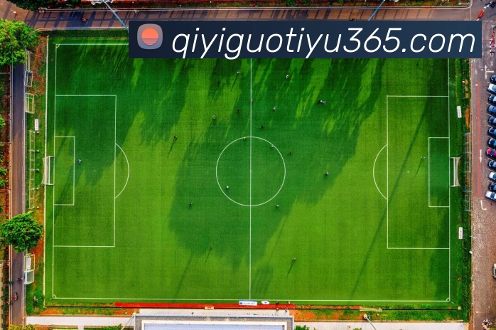 奇异果体育发展历程